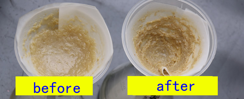 cellulase